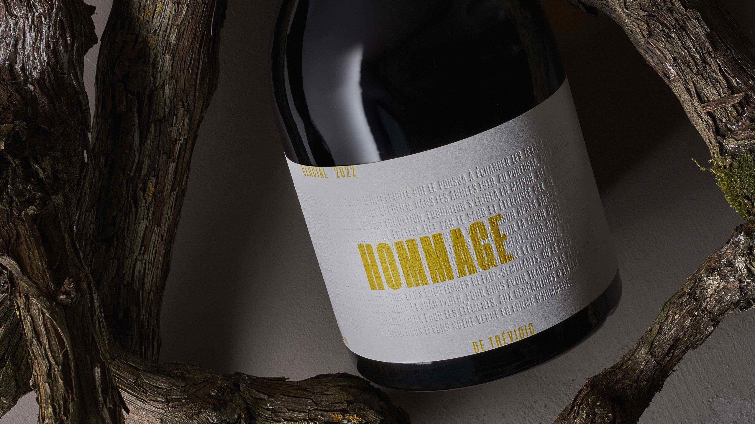 Casa Trévidic - Hommage