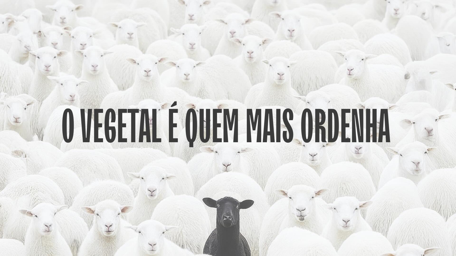 Yogan_Mandamento 1