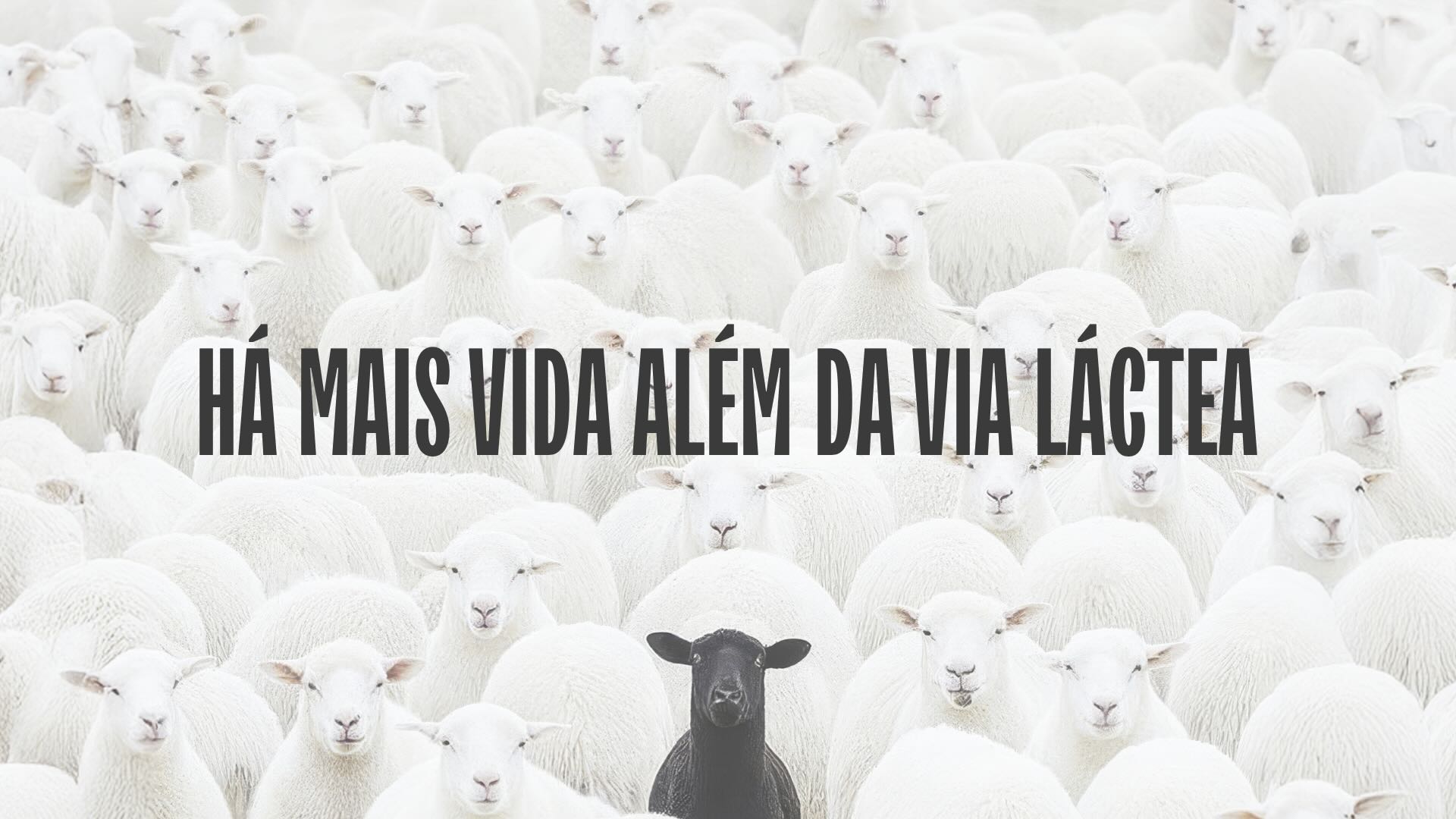 Yogan_Mandamento 2