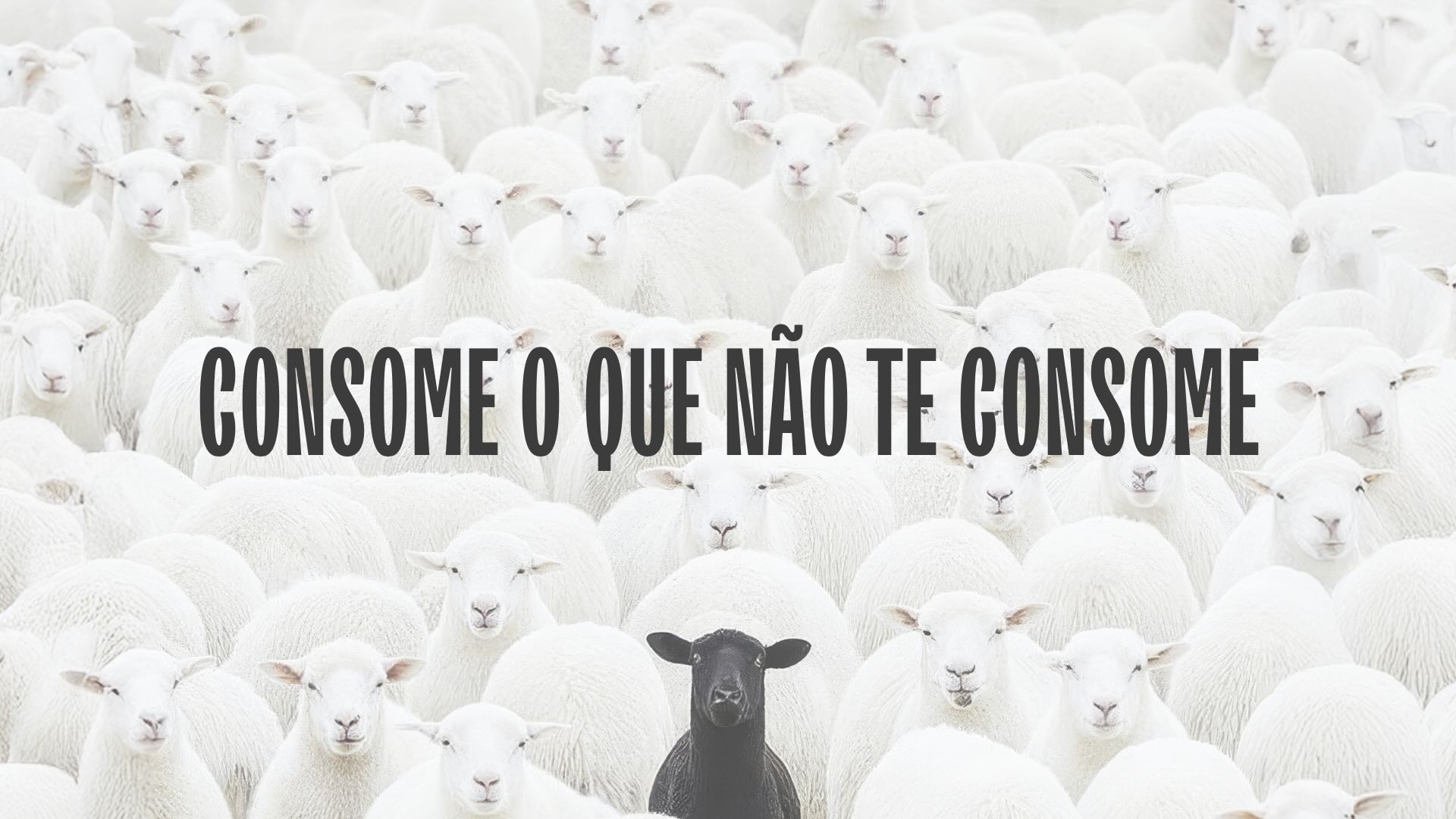 Yogan_Mandamento 3