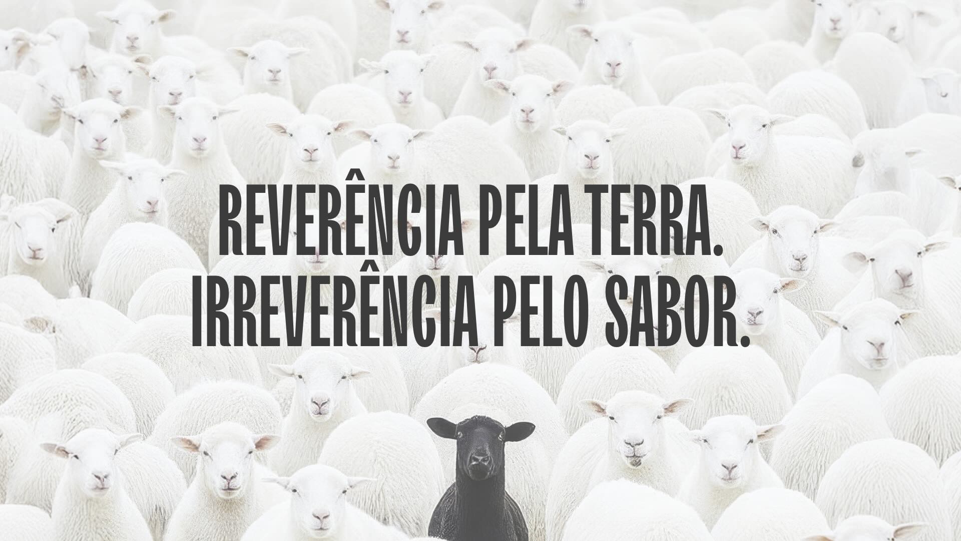 Yogan_Mandamento 4