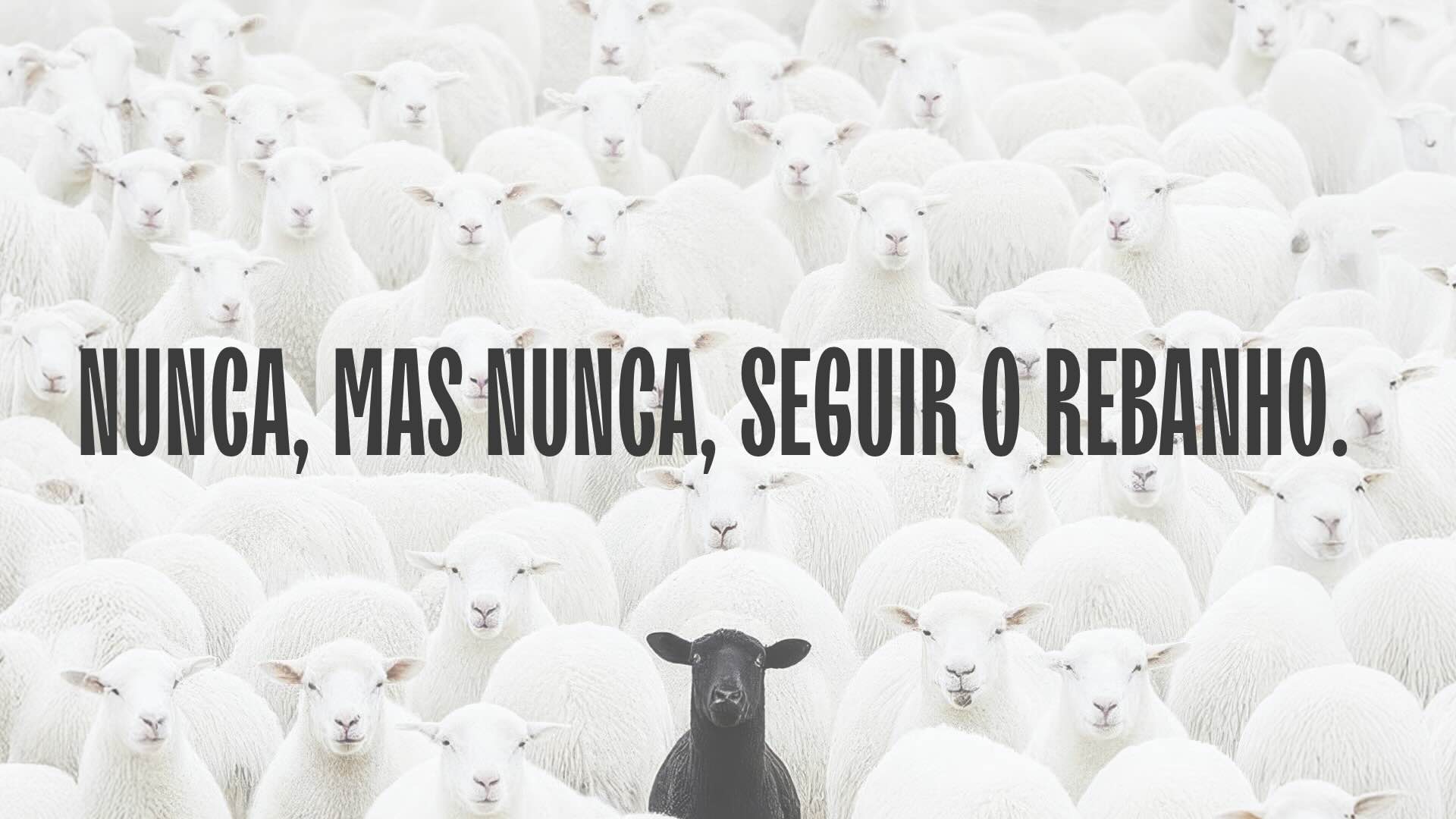 Yogan_Mandamento 6